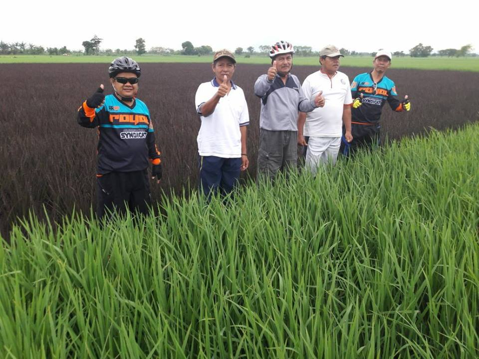 Potensi Agrowisata